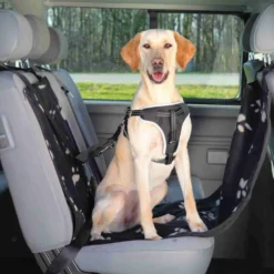 Unterwegs Mit Hund><noscript><img width=