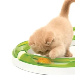 Katzenspielzeug><noscript><img width=