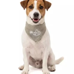 Halsbänder, Leinen & Geschirre|Sommer>Futterfreund Coolpets Cooling Bandana, beige