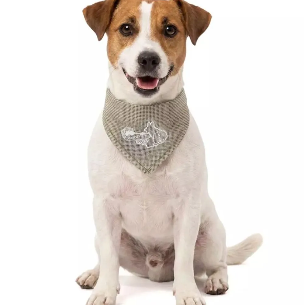 Halsbänder, Leinen & Geschirre|Sommer>Futterfreund Coolpets Cooling Bandana, beige
