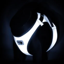 Halsbänder, Leinen & Geschirre>Futterfreund Curli Geschirr GLOW, Clasp Vest, reflektierend, grau