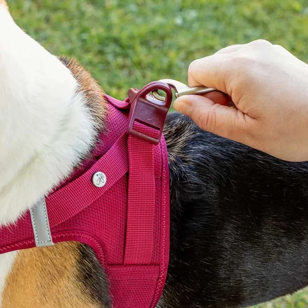 Halsbänder, Leinen & Geschirre>Futterfreund Curli Geschirr Vest Air-Mesh Clasp, schwarz