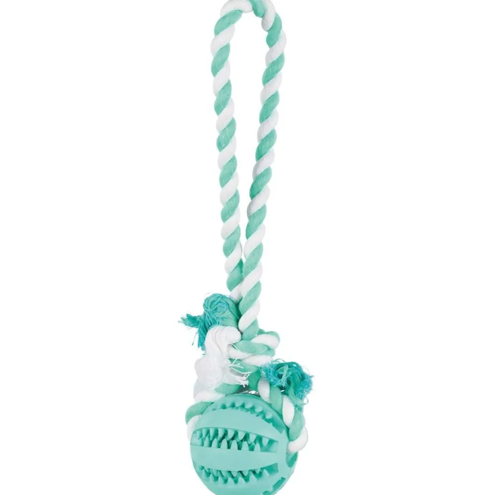 Spielzeug>Futterfreund Denta Fun Ball am Tau, Mintfresh, Naturgummi, 7cm/24cm