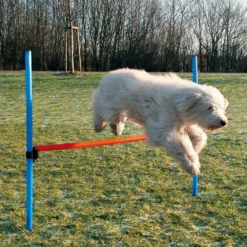 Sport & Training>Futterfreund Dog Activity Agility Hürde, 123x115x3 cm, blau/orange