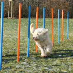 Sport & Training>Futterfreund Dog Activity Agility Slalom, 115x3 cm, 12St., blau/orange