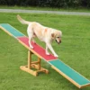Sport & Training>Futterfreund Dog Activity Agility Wippe, 300x54x34 cm, bis 80 kg