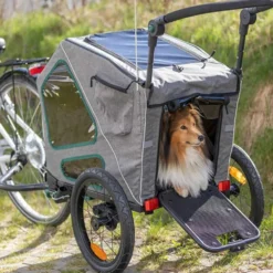 Unterwegs Mit Hund><noscript><img width=