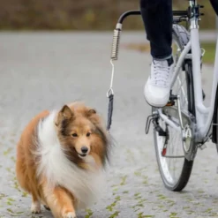 Unterwegs Mit Hund><noscript><img width=