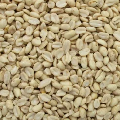 Wildvogelfutter>Futterfreund GEVO Erdnusskerne, weiß blanchiert 1 kg