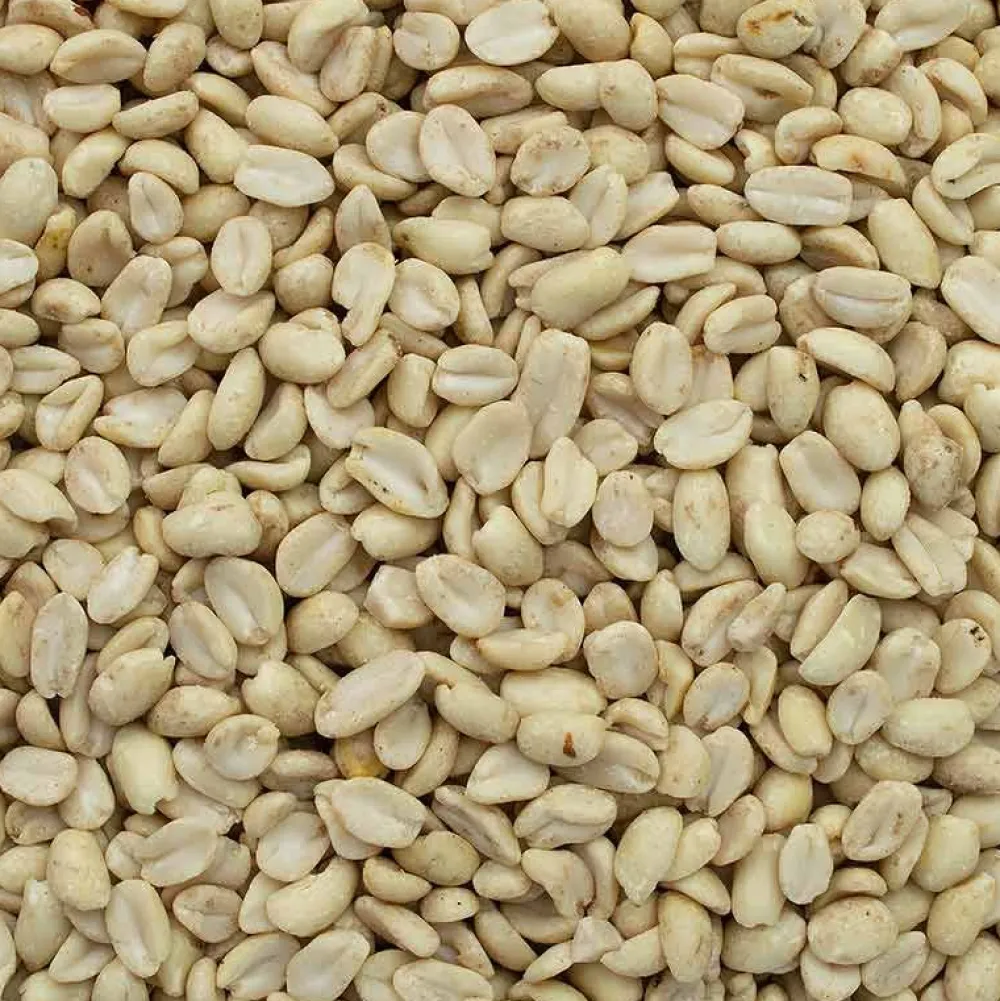 Wildvogelfutter>Futterfreund GEVO Erdnusskerne, weiß blanchiert 1 kg