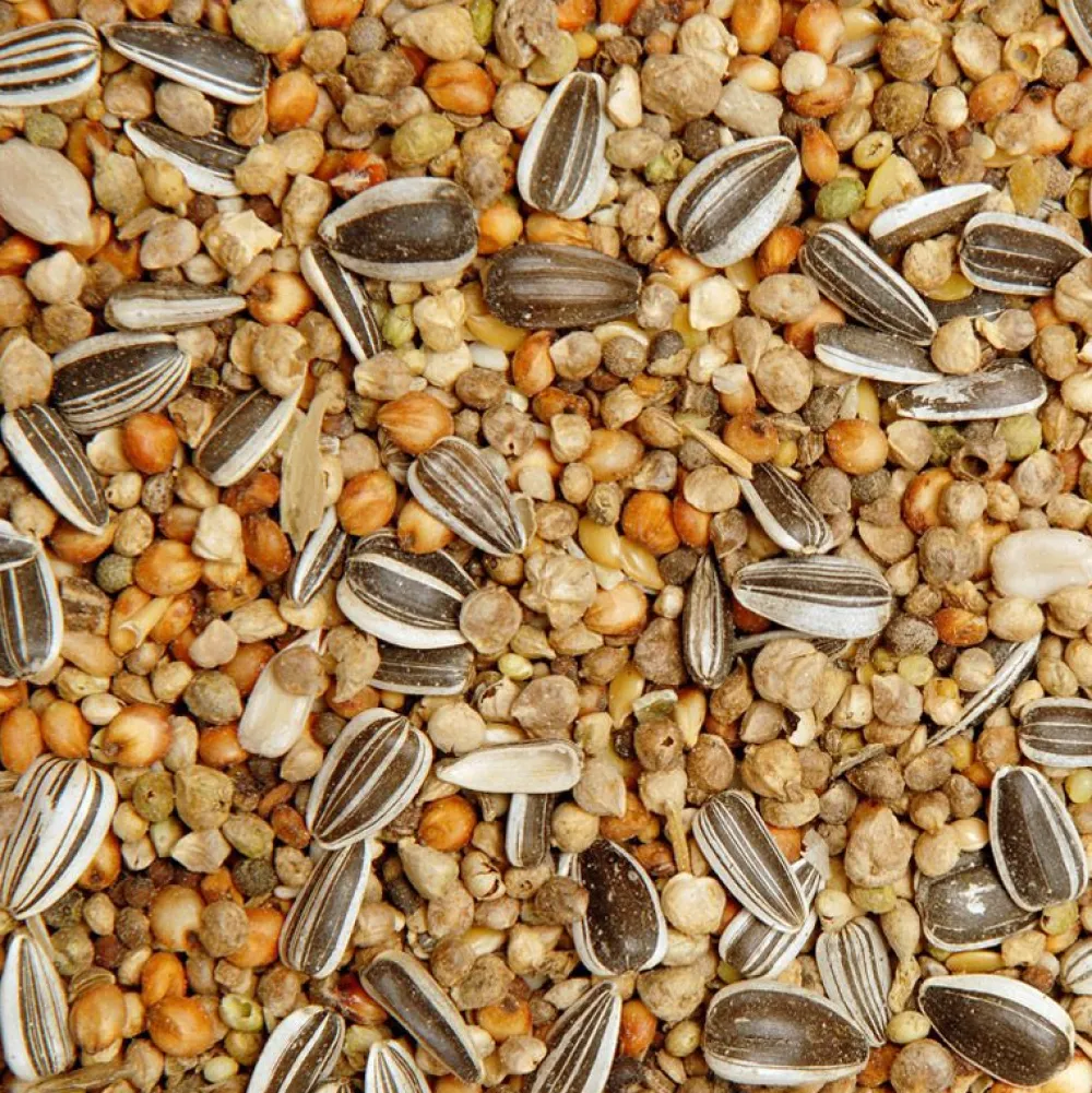 Wildvogelfutter>Futterfreund GEVO Streufutter 10 kg