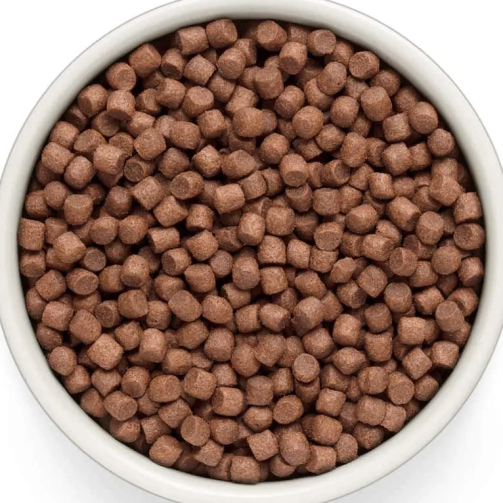Grandorf>Futterfreund Grandorf Fresh Adult Mini Frisches Lamm