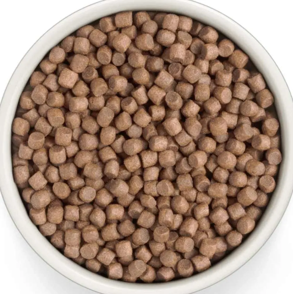 Grandorf>Futterfreund Grandorf Fresh Adult Mini Frische Pute