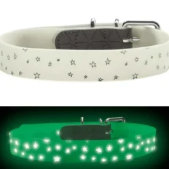 Halsbänder, Leinen & Geschirre>Futterfreund Hunter Halsband Conven. Refl. Glow, Stern
