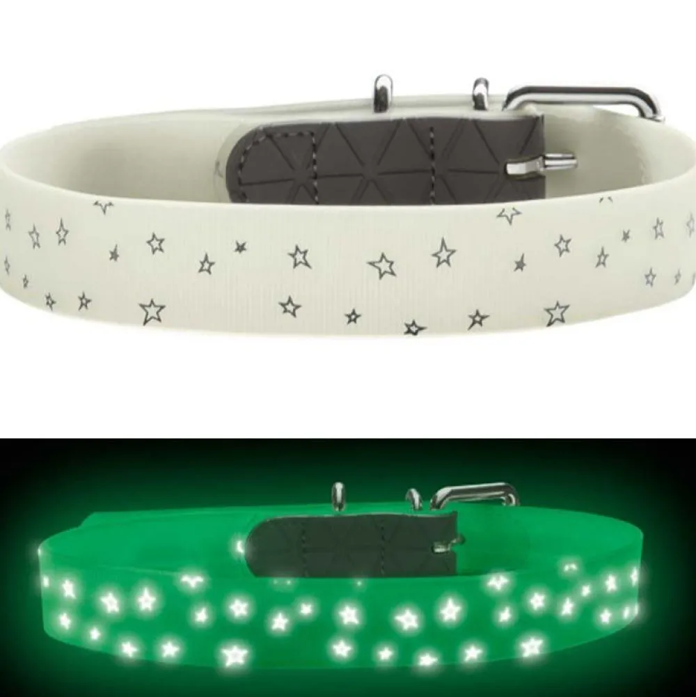 Halsbänder, Leinen & Geschirre>Futterfreund Hunter Halsband Conven. Refl. Glow, Stern