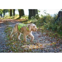 Halsbänder, Leinen & Geschirre>Futterfreund Hunter Warnweste für Hunde