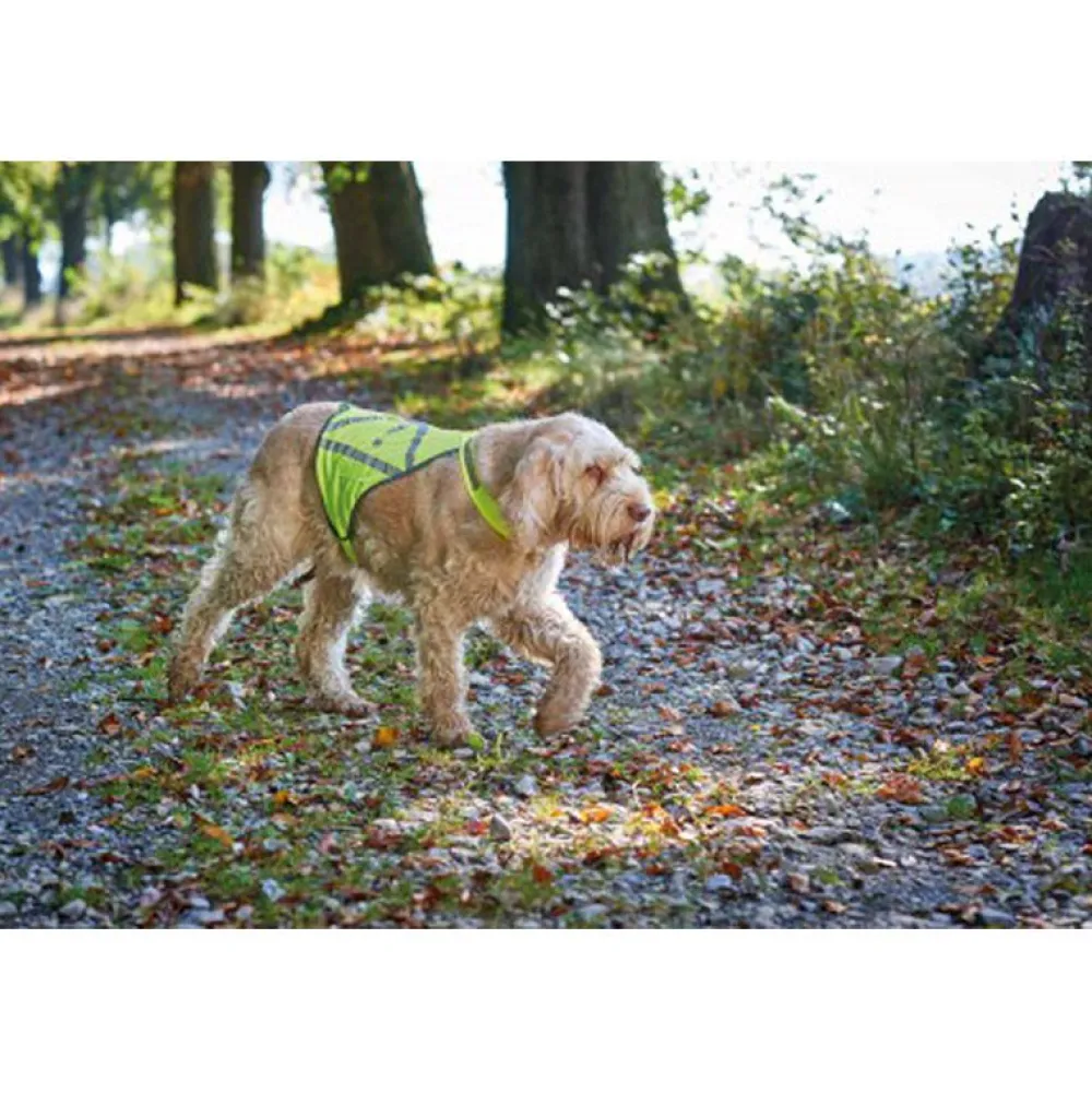 Halsbänder, Leinen & Geschirre>Futterfreund Hunter Warnweste für Hunde