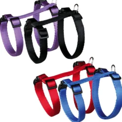 Katzengeschirre>Futterfreund Katzengarnitur, für alle Katzen, Nylon, 26-43 cm/10 mm