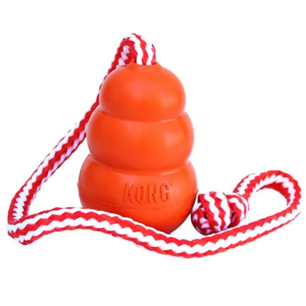 Sommer|Spielzeug>Futterfreund KONG Aqua mit Wurftau
