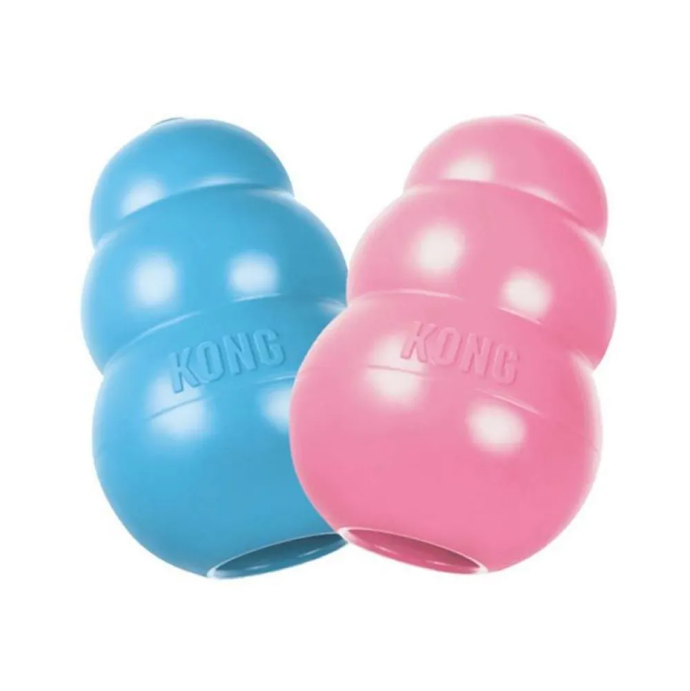 Spielzeug>Futterfreund KONG Puppy