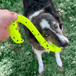 Sport & Training|Spielzeug>Futterfreund KONG Reflex Tug n Fetch, 30cm