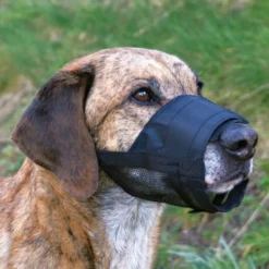Sport & Training>Futterfreund Maulschlaufe mit Netzeinsatz, verstellbar