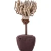 Katzenspielzeug>Futterfreund Petlando Earthcat Catnip Chrysantheme