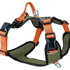 Halsbänder, Leinen & Geschirre>Futterfreund Petando agnetech Gechirr, oive/orange