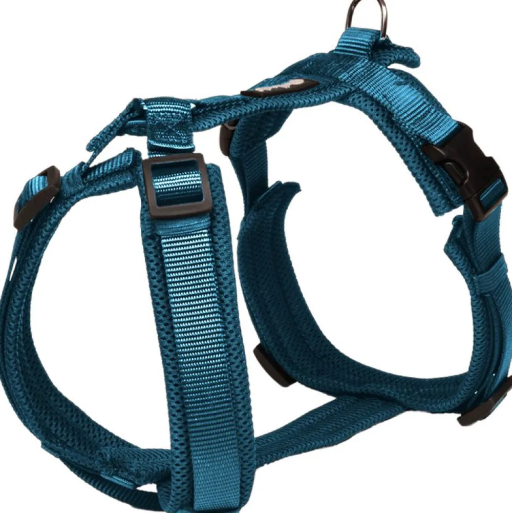 Halsbänder, Leinen & Geschirre>Futterfreund Petlando Mesh Y-Comfort Geschirr, petrol