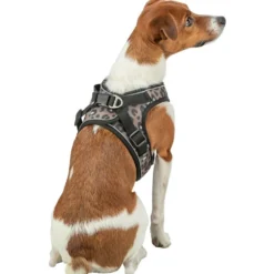 Halsbänder, Leinen & Geschirre>Futterfreund Premium Urban Vest Geschirr, Leo, creme
