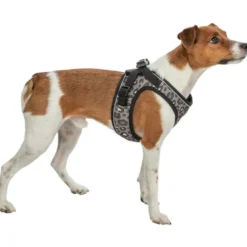 Halsbänder, Leinen & Geschirre>Futterfreund Premium Urban Vest Geschirr, Leo, braun