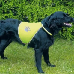 Unterwegs Mit Hund>Futterfreund Sicherheitsweste für Hunde