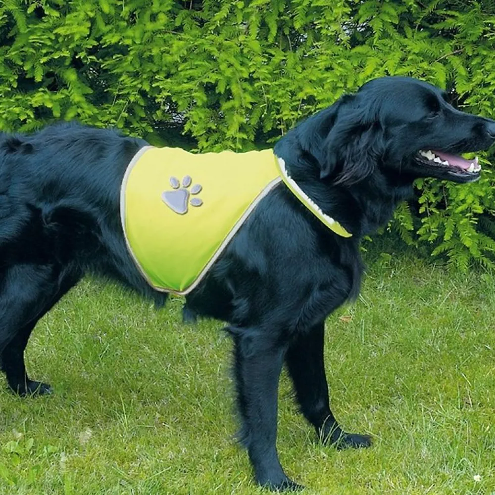Unterwegs Mit Hund>Futterfreund Sicherheitsweste für Hunde