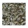 Wildvogelfutter>Futterfreund Sonnenblumenkerne gestreift 5 kg