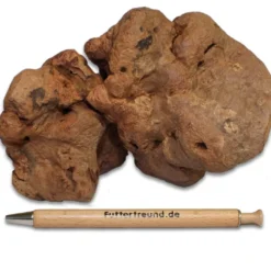 Torgas Kauwurzeln>Futterfreund Torgas Kauwurzel - 1 Stück Größe L