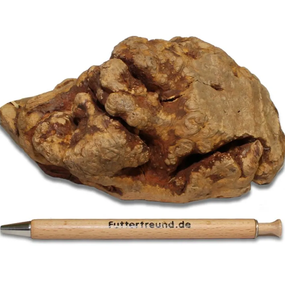 Torgas Kauwurzeln>Futterfreund Torgas Kauwurzel - 1 Stück Größe M
