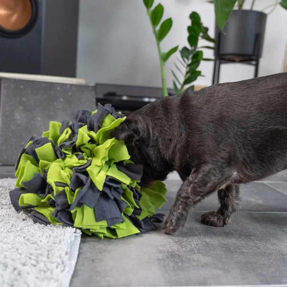 Unterwegs Mit Hund|Schlafplatz>Futterfreund TrendPet Schnüffelball 25cm