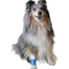 Katzenpflege & Hygiene|Wundversorgung>Futterfreund Vetlando Heimtierpflaster, 1 Rolle 5cmx1m uncut