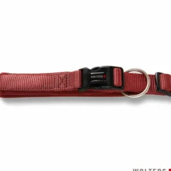 Halsbänder, Leinen & Geschirre>Futterfreund Wolters Halsband Professional Comfort, rost rot