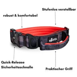 Halsbänder, Leinen & Geschirre><noscript><img width=