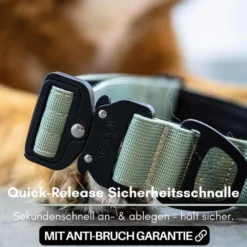 Halsbänder, Leinen & Geschirre>Futterfreund Woofed Nylon Tactical, Halsband, Griff, sage green