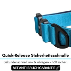 Halsbänder, Leinen & Geschirre>Futterfreund Woofed Nylon Tactical, Halsband, Griff, arctic sky