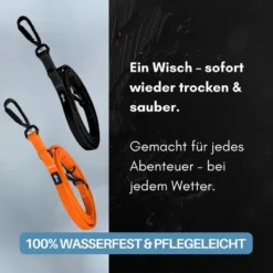 Halsbänder, Leinen & Geschirre><noscript><img width=