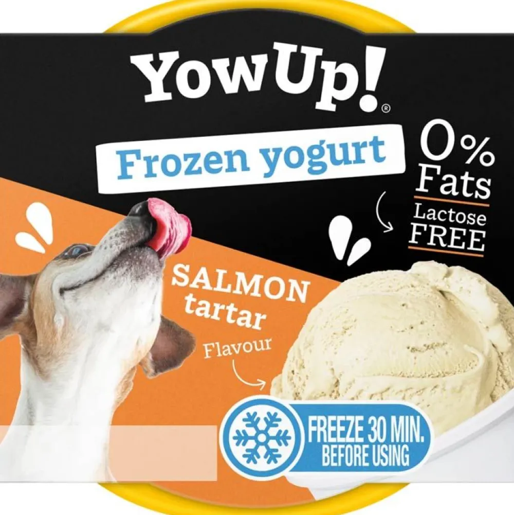 Sommer>Futterfreund YowUp Frozen Yoghurt Salmon Tartar 110g